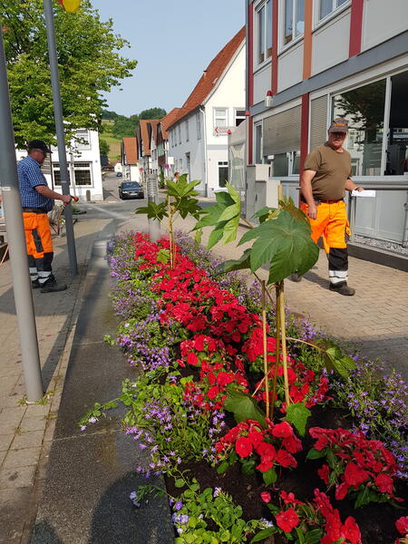 Bild vergr&ouml;&szlig;ern: PM Saubere Stadt Beitragsbild