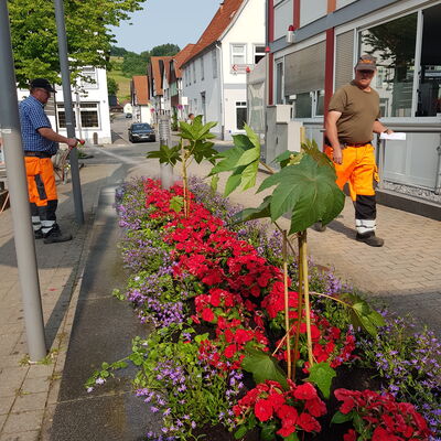 PM Saubere Stadt Beitragsbild