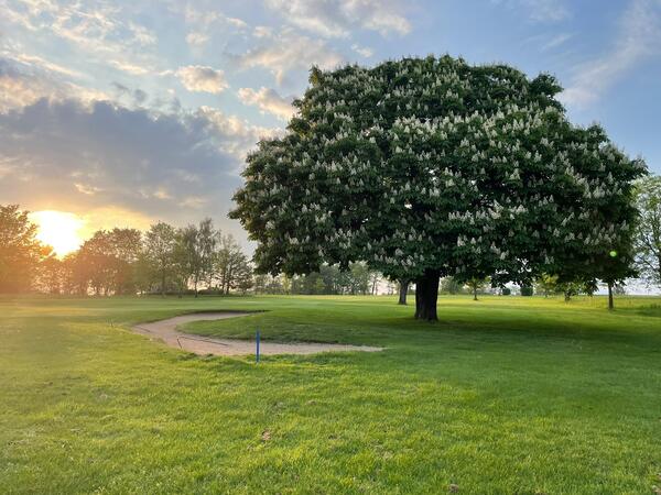 Bild vergr&ouml;&szlig;ern: Golfplatz L�gde-Pyrmont