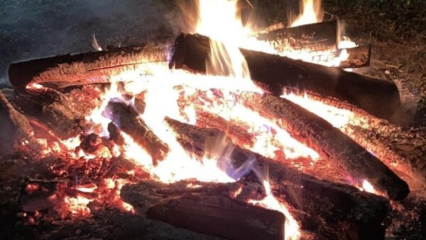 Bild vergr&ouml;&szlig;ern: Kartoffelbraten Harzberg
