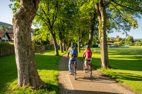 Bild vergr&ouml;&szlig;ern: Radfahrer Emmerauenpark