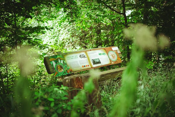 Bild vergr&ouml;&szlig;ern: Bank am Naturerlebnispfad