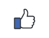 Facebook_Daumen_klein