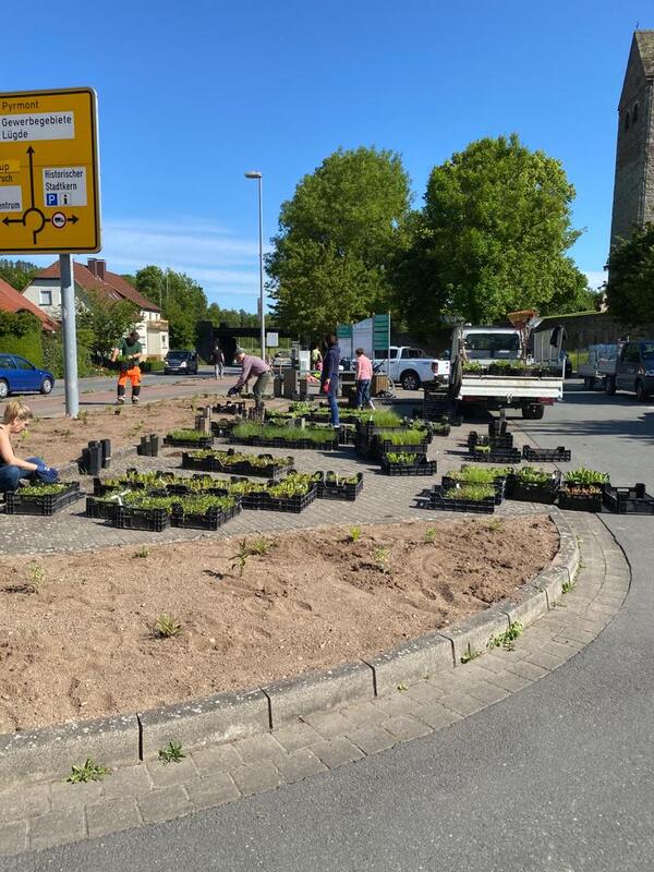 Bild vergr&ouml;&szlig;ern: Pflanzaktion der L�gder Vereine