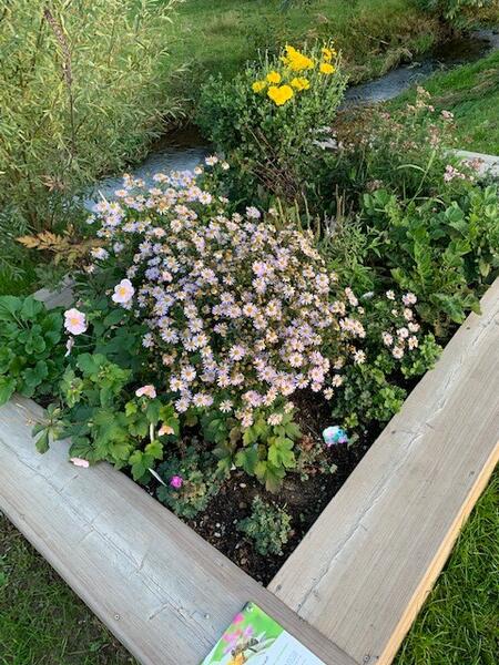 Bild vergr&ouml;&szlig;ern: Blumenbeet Elbrinxen