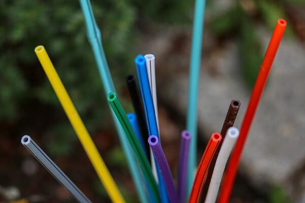 Bild vergr&ouml;&szlig;ern: glass-fiber-5223804_960_720